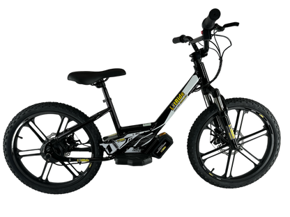Litride L-20