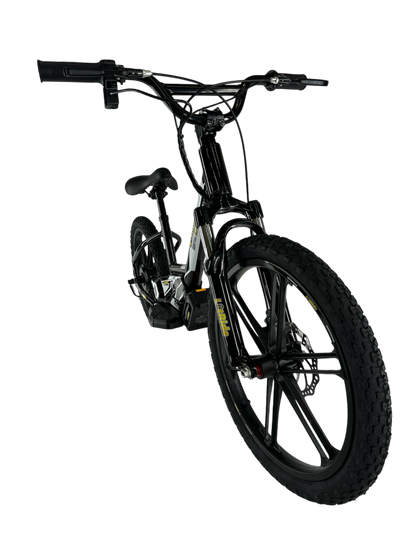 Litride L-20